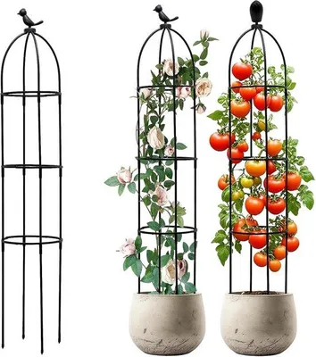 Zdjęcie produktu dla Podpora do roślin 120 cm - demontowalna obelisko-podpora do roślin, idealna do ogrodu i balkonu