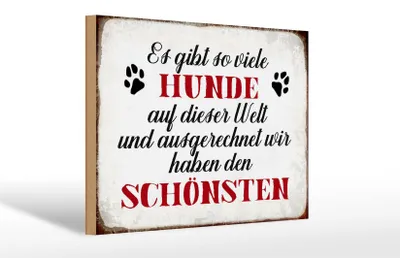 Produktbild von Holzschild Spruch 30x20cm es gibt so viele Hunde Schild