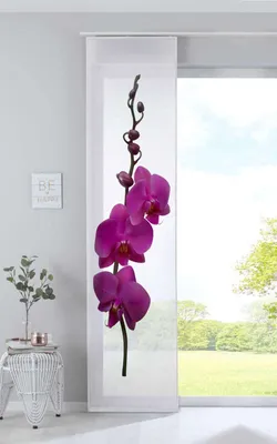A panel curtain with a purple orchid design is displayed in a room next to a window.
