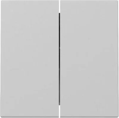Zdjęcie produktu dla GIRA rocker 3295015 2f Sys.55 gr m (3295015)