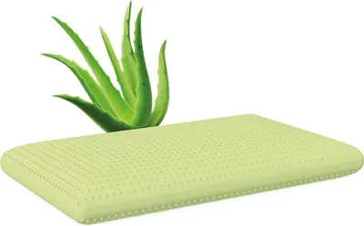 Produktbild von MAPE Duftkissen, Grün, Aloe Vera 13,8 cm + Gratis Überzug aus 100% Baumwolle 0551