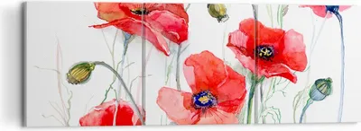 Produktbild von Bild auf Leinwand - Leinwandbild - Blume Mohn Wiese - 120x40cm - Wand Bild - Wanddeko - Wandbilder - Leinwanddruck - Bilder - Kunstdruck - Wanddekoration - Leinwand bilder - Wandkunst - CA120x40-3584