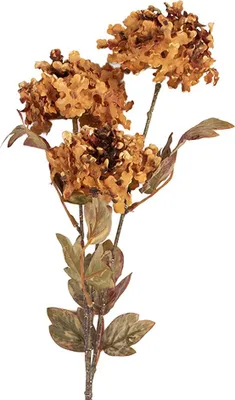 Obrázek produktu pro Clayre & Eef Umělé květiny 10x8x76 cm Oranžový plast
