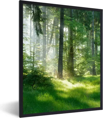Produktbild von MuchoWow® Gerahmtes Poster Natur - Bäume - Wald - Grün - Sonne - Gras - Pflanzen 60x80 cm - Poster mit Schwarzem Bilderrahmen Wandposter Rahmen Foto Bilder - Premium - Wanddeko Wohnzimmer