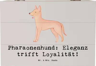 Produktbild von Mr. & Mrs. Panda Schatulle Pharaonenhund Eleganz 22 x 15 cm - Grau Pastell - Geschenk, fotobox, anmutiger Hund, Jagdhund, Hunderassen, Kiste, Holztruhe, Geschenkbox