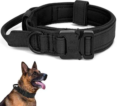 Image de Collier robuste Ibenzoa® 1050D en nylon double épaisseur avec poignée de contrôle – rembourré, boucle métallique à fermeture rapide, pour chiens de taille moyenne à grande