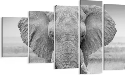 Produktbild von Bild auf Leinwand - Leinwandbild - 5 Teile - Elefant Afrika Tier - 100x60cm - Wand Bild - Wanddeko - Wandbilder - Leinwanddruck - Bilder - Wanddekoration - Leinwand bilder - Wandbild - EG100x60-5072