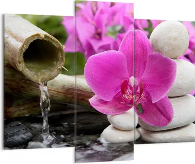 Produktbild von Bild auf Leinwand - Leinwandbild - Orchidee Bambus Dekoration Spa - 130x100cm - Wand Bild - Wanddeko - Leinwanddruck - Bilder - Kunstdruck - Leinwand bilder - Wandkunst - CB130x100-2666