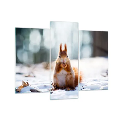 Produktbild von Bilder auf glas - Eichhörnchen Winter Schnee Essen - 130x100cm - Glasbilder - Wandbilder - Kunstdruck - Wanddekoration aus Glas - Glas Bilder - Wandbild auf Glas - GCB130x100-2798
