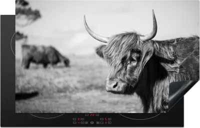 Produktbild von KitchenYeah© Herdabdeckplatte Schottischer Highlander - Tiere - Schwarz - Weiß , 83x51cm, Küche Deko, Glaskeramikkochfeld Herdabdeckung, Abdeckplatte fùr Kochfeld
