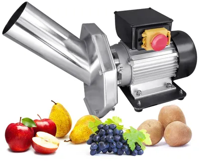Imagen del producto de Trituradora de frutas Strend Pro EFC-2, 550 W, 1 l, 200 kg/h, 43x22x33 cm