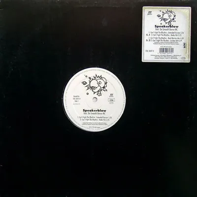 Image de Can't Fight The Rhythm