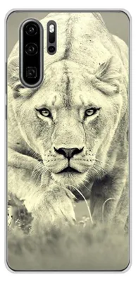 Image de 1001Coques - Coque silicone compatible avec Huawei P30 Pro - Motif lionne - Design original imprimé en France