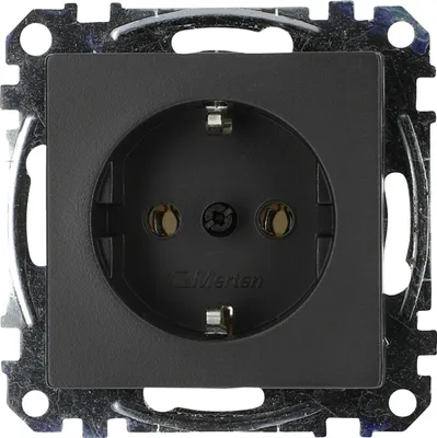 Produktbild von Merten MEG2301-0414, Typ F, Anthrazit, 250 V, 16 A, 1 Stück(e)