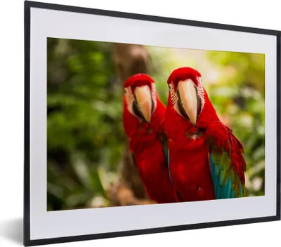 Produktbild von MuchoWow® MuchoWow® Gerahmtes Poster Papageien - Vögel - Dschungel 40x30 cm - Poster mit zchwarzem Bilderrahmen - Bilderrahmen - Poster im Rahmen