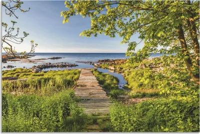 Produktbild von ARTland Wandbild Alu für Innen & Outdoor Der Weg zum Meer auf Bornholm Größe: 90x60 cm
