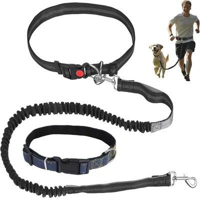 Produktbild von Hunde Joggingleine mit Halsband, Bauchgurt für große Hunde, stoßdämpfend, 124-175 cm, zum Joggen