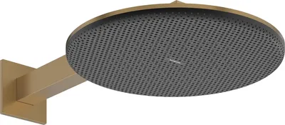 Produktbild von hansgrohe Raindance Alive S Kopfbrause 300 2-jet, 24540140