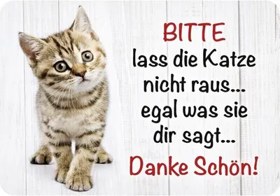 Produktbild von Kulthänger Blechschild Bitte lass die Katze nicht raus KH 045