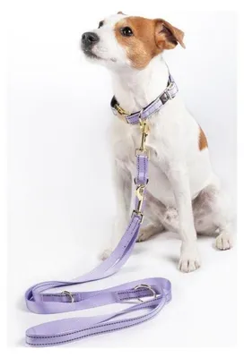 Productafbeelding van HKM Qooper nylon trainingslijn voor honden, lavendelkleurig, maat S