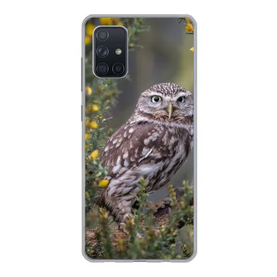 Produktbild von MuchoWow® Handyhülle Schutzhülle Hülle für Samsung Galaxy A51 5G Eine kleine braune Eule sitzt da und starrt nach vorne Silikon Softcase Handy Hülle - Abbildung