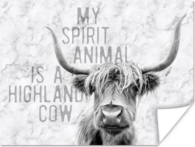Produktbild von MuchoWow® Poster Schottischer Highlander - Zitat - Marmor 120x90 cm - Wandbild