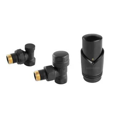 Three black radiator valves and a thermostat head are arranged on a white background.