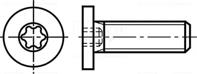 Produktbild von 100x Schraube Torx® Zink 3271398 Schraubenbolzen M3x8 TX08 Kopf: Zylinder  0,5