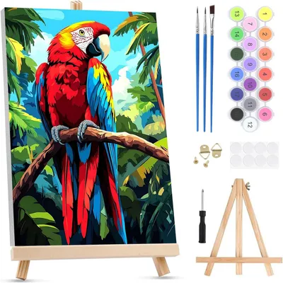 Productafbeelding van Schilderen op nummer voor volwassenen op canvas ingelijst - met ezel, papegaai schilderen op nummer, dieren, cartoon, olieverfschilderij, acryl