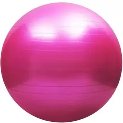 Immagine prodotto di Palla Per Esercizi 65 Cm X-Sport - Rosa