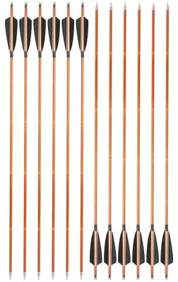 Productafbeelding van Koolstofpijlen, hoge sterkte, brede compatibiliteit, 2 zwart, 1 wit