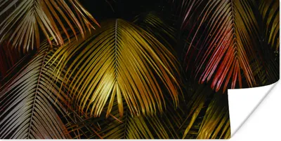 Produktbild von MuchoWow® Poster Dschungel - Gold - Palmenblatt 40x20 cm - Poster für die Wand - Poster Schlafzimmer