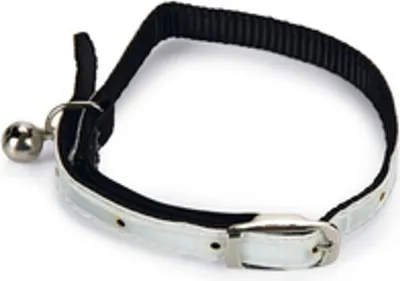 Produktbild von Beeztees - Katzenhalsband - Nylon - weiß - 32x1x0.2 cm