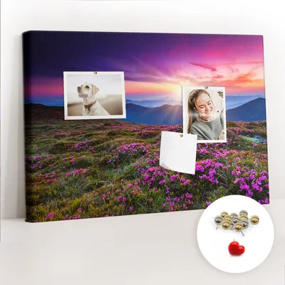 Produktbild von Korkwand mit Stecknadeln – Schwarzes Schild mit Stecknadeln für Fotos und Notizen – 60x40 cm – 100 Stück Metall-Stecknadeln