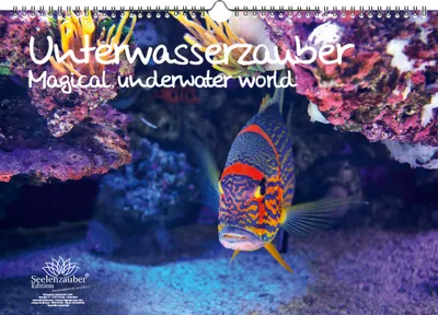 Produktbild von Unterwasserzauber DIN A3 - Immerwährender Kalender Unterwasser - Seelenzauber