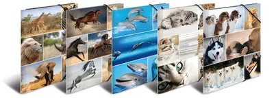 Produktbild von Herma Sammelmappe Eckspanner Karton A4 Animals 10er-Sortierung