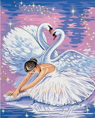 Produktbild von Malen nach Zahlen: Ballerina und Schwan, 40x50 cm