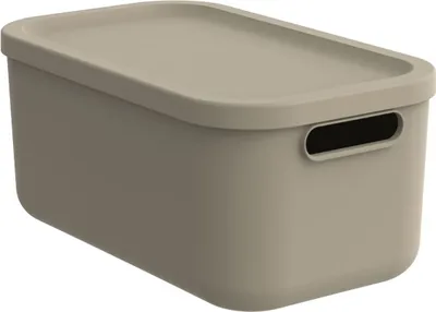 Produktbild von Rotho Babydesign Aufbewahrungsbox S Kayo 12 l - Sage