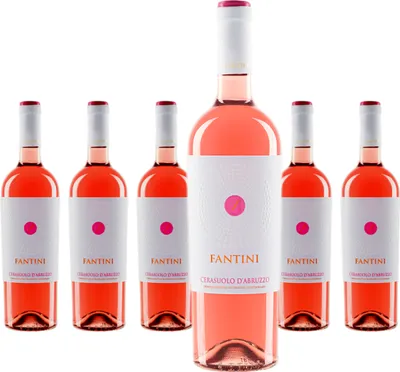 Produktbild von 6 x Fantini Cerasuolo d'Abruzzo