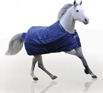 Produktbild von Bucas Weidedecke Irish Turnout Light 50g Classic 1200D
