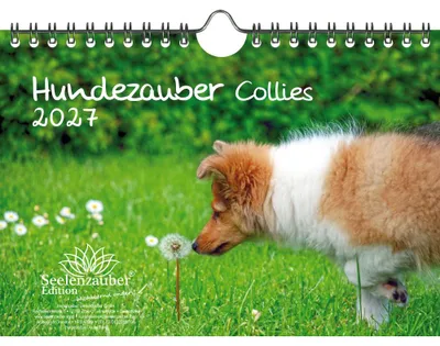 Produktbild von Hundezauber Collies DIN A5 Kalender für 2027 Welpen und Hunde - Seelenzauber