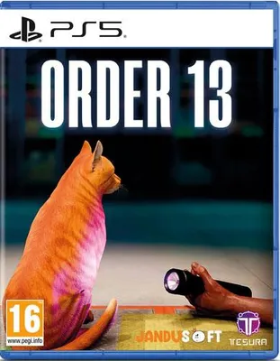 Produktbild von Tesura Games Order 13, PlayStation 5, RP (Rating Pending), Physische Medien