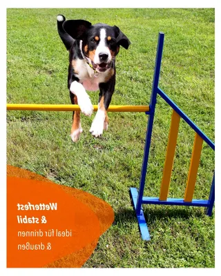Produktbild von Metall-Sprunghürde – Agility-Training für Hunde – mit einer Querstange von 120 cm