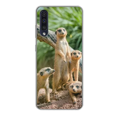 Produktbild von MuchoWow® Handyhülle Schutzhülle Hülle für Samsung Galaxy A50 Familie - Tiere - Erdmännchen Silikon Softcase Handy Hülle - Mobiltelefonhülle