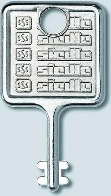 A silver key with the brand name "SIEDLE" embossed on it, against a light gray background.