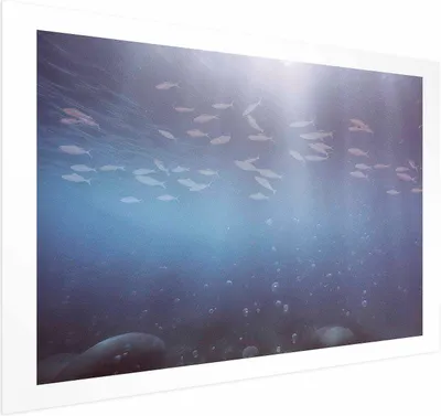 Produktbild von Posterpapier Poster - Fish in the Depths 60x40 cm Tiere g-C-10143-ao-a