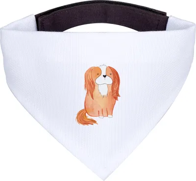 Produktbild von Mr. & Mrs. Panda Halstuch Hund Cavalier King Charles Spaniel - Weiß - Geschenk, Tuch, Cockerspaniel, Sprüche, Hunde-Halstuch, Schlappohren, Bandana, Hunde