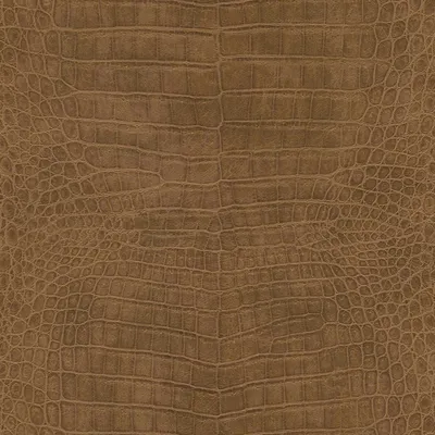 Produktbild von Vliestapete 751314 Tapete Tiere 53 x 1005 cm Rasch African Queen III Braun