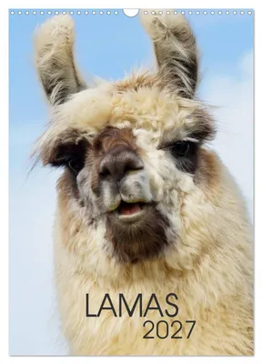 Produktbild von LAMAS (Wandkalender 2027 DIN A3 hoch), CALVENDO Monatskalender