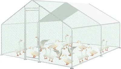 Immagine prodotto di 3x4x2m pollaio recinto per polli ruspanti con serratura recinto per esterni voliera recinto per polli ruspanti in acciaio zincato conigliera recinto per piccoli animali